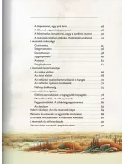Varázslatos útmutató a mamutokhoz