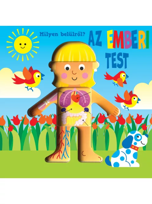 Milyen belülről - Az emberi test