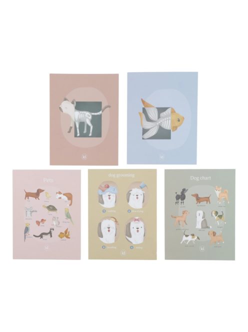 Little Dutch állatkórház