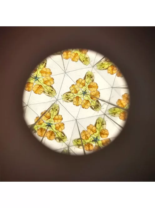 Little Dutch kaleidoszkóp Forest Friends 