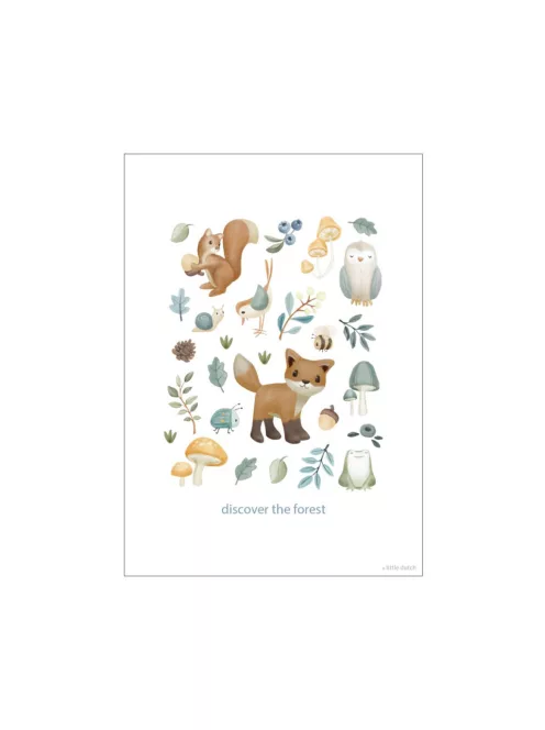 Little Dutch kétoldalas poszter - Forest Wonders