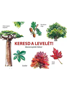   Scolar kiadó - Inca Starzinsky - Keresd a levelét! – Memóriajáték fákkal