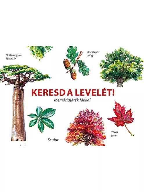 Scolar kiadó - Inca Starzinsky - Keresd a levelét! – Memóriajáték fákkal