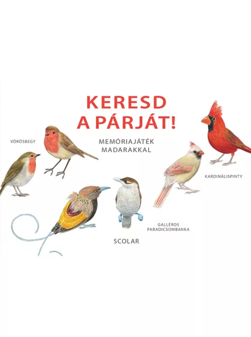 Scolar kiadó - Inca Starzinsky - Keresd a párját! – Memóriajáték madarakkal
