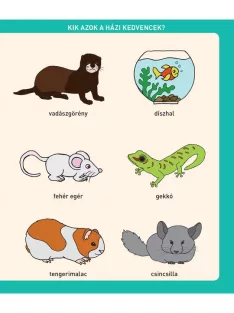 Scolar Kiadó - Babák első állatenciklopédiája