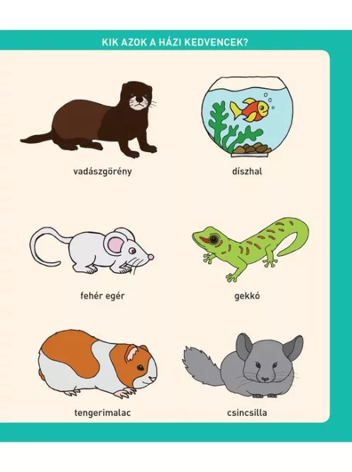 Scolar Kiadó - Babák első állatenciklopédiája