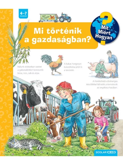 Scolar kiadó -Mi történik a gazdaságban?