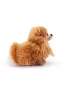 Trudi Pomerániai törpespicc 23cm - Biscuit